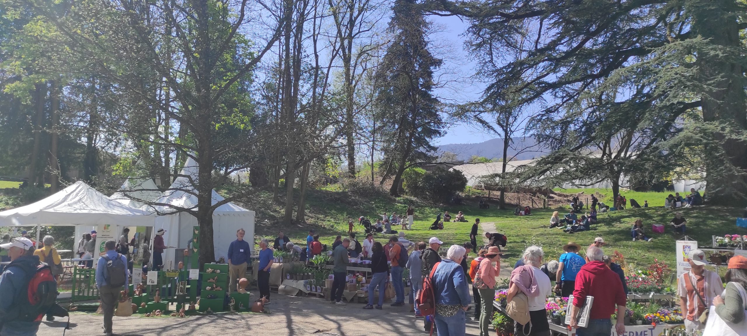 Un rassemblement de passionnés