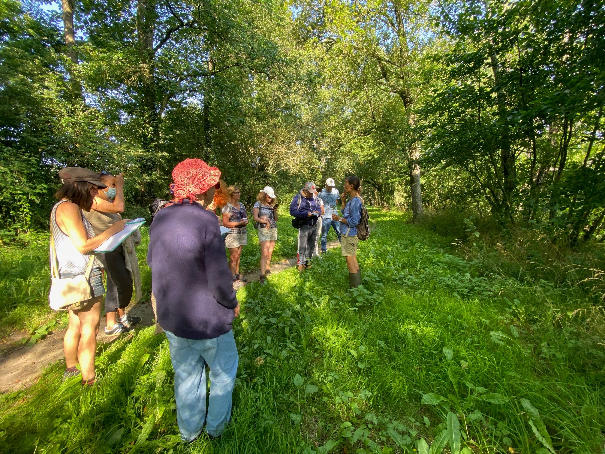 À la découverte des plantes sauvages
