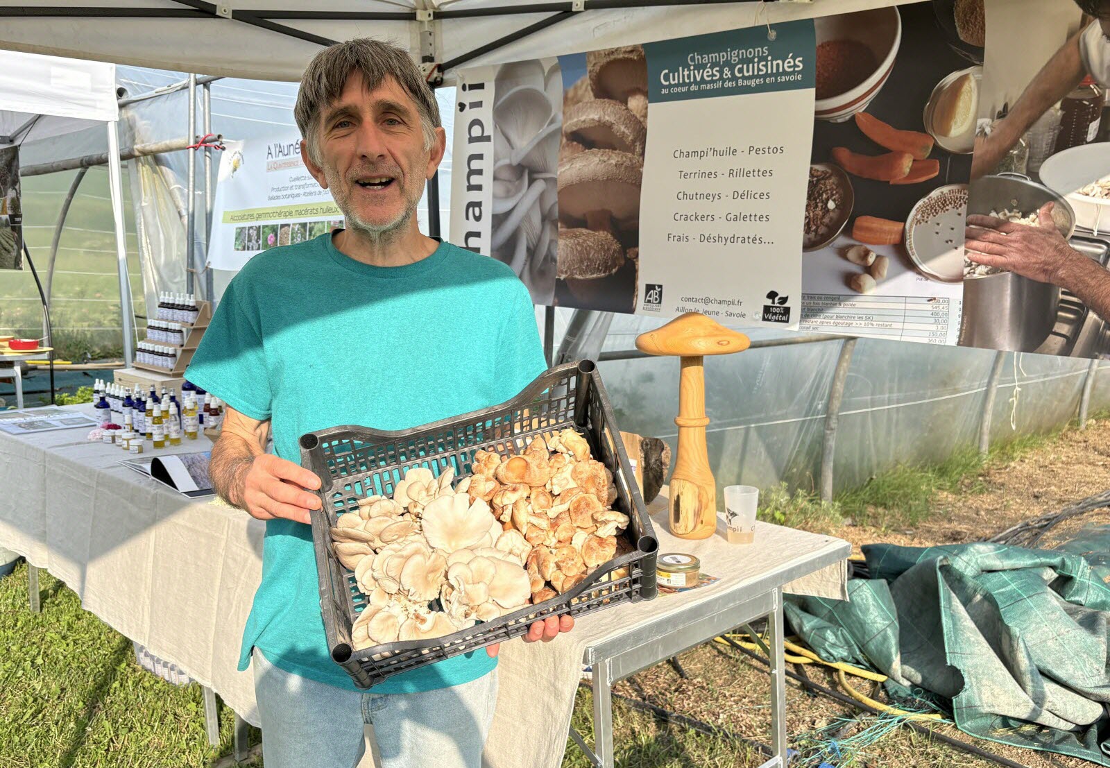 La culture des champignons