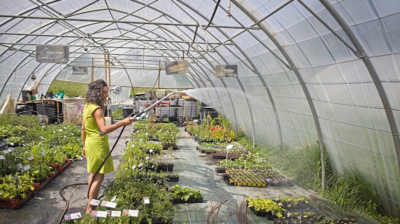 LA PÉPINIÈRE  DU CIRCAETE Logo