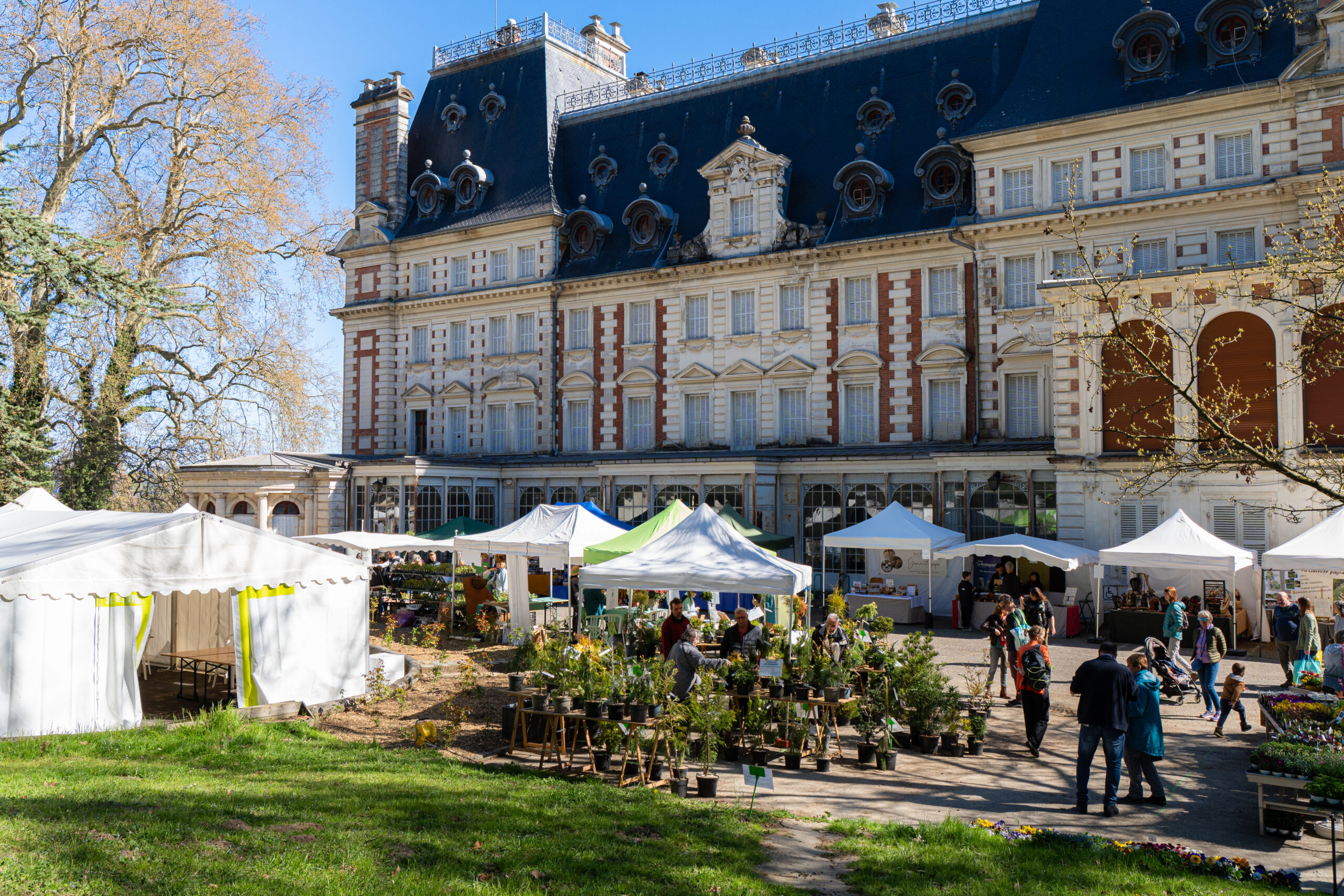 image bienvenue